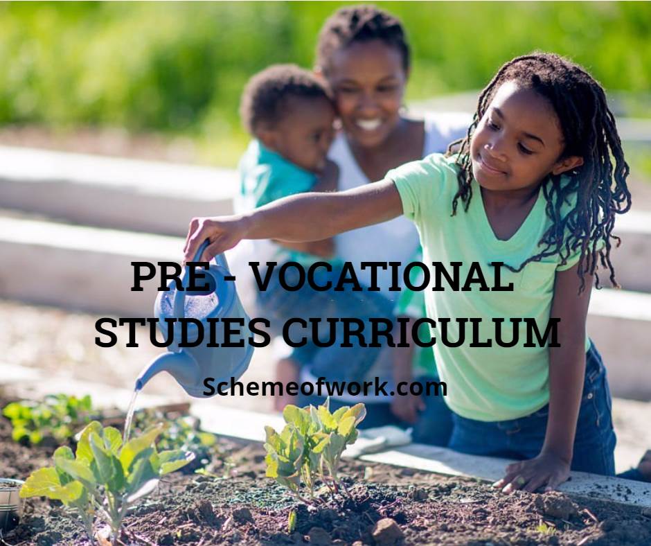 Pre Vocational Studies Curriculum