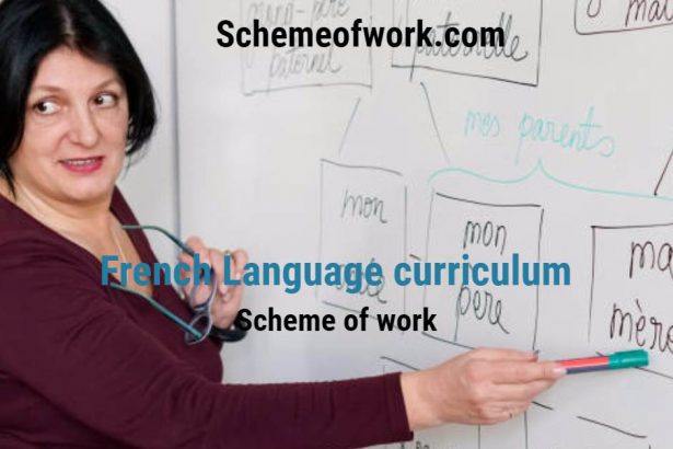 French Curriculum