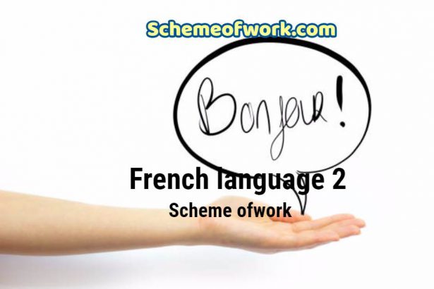 french Language scheme of work 2
