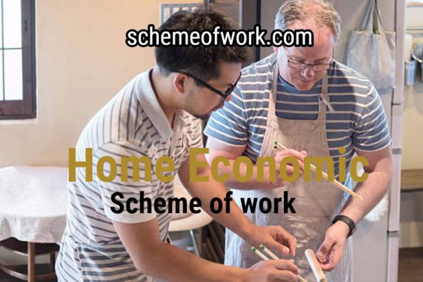 Home Economics scheme of work 2