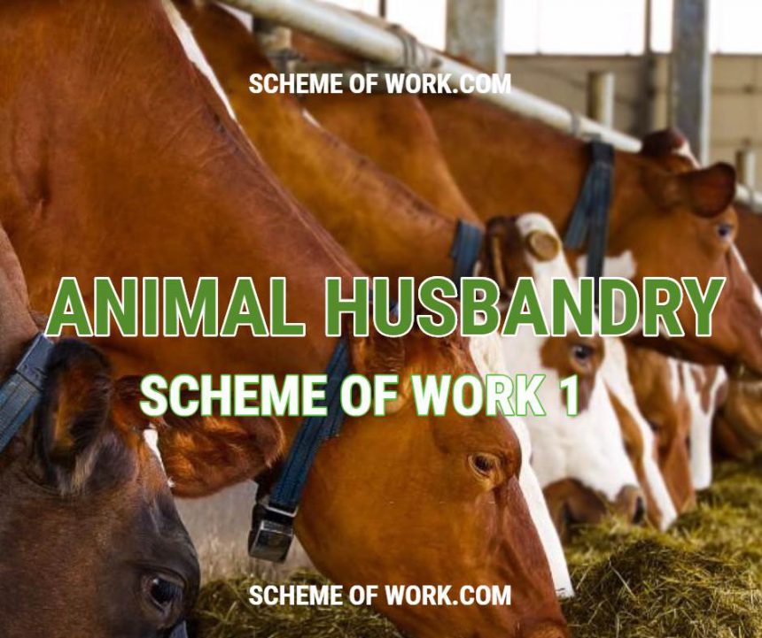 Animal Husbandry Scheme of work 1