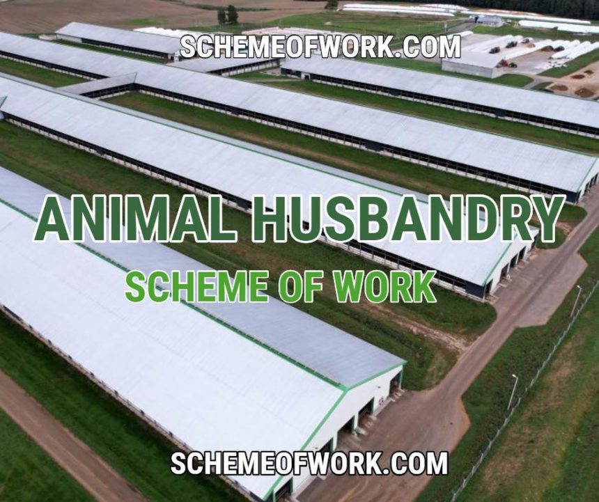 Animal husbandry