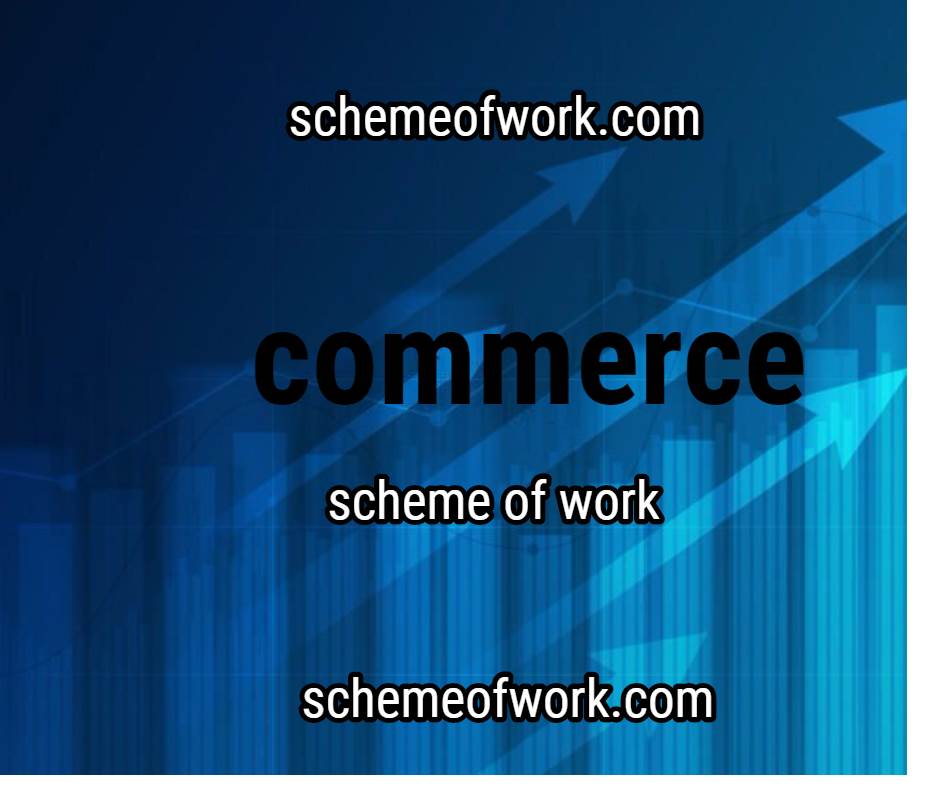 Commerce Scheme of work 2