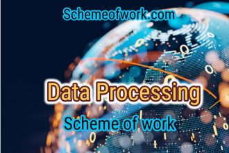 Data Processing Scheme of work 2