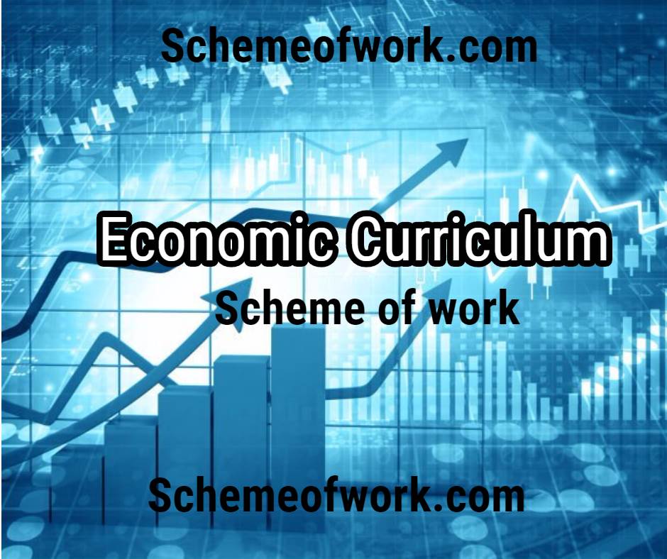 Economic curriculum