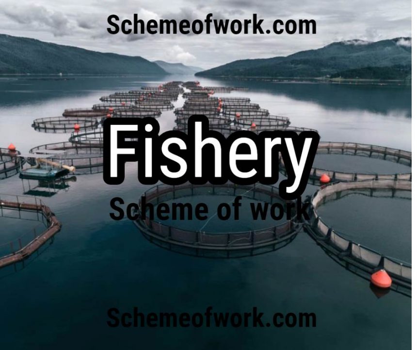 Fishery scheme of work