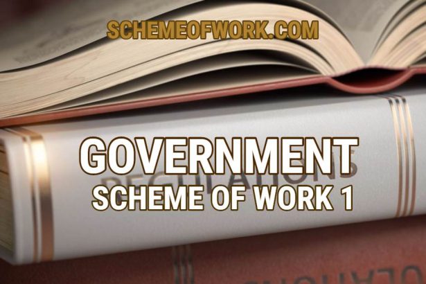 Government Scheme of work 1