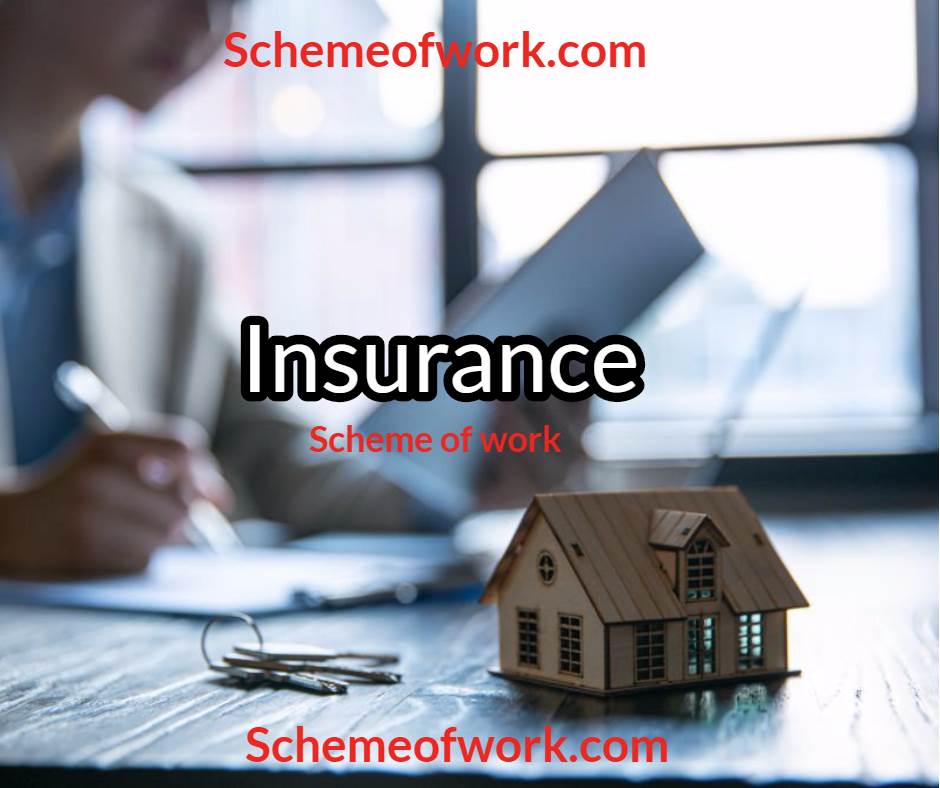 Insurance Scheme of work 2