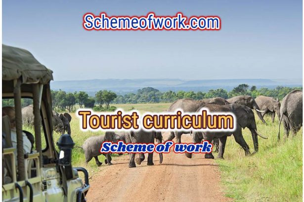 Tourism Curriculum