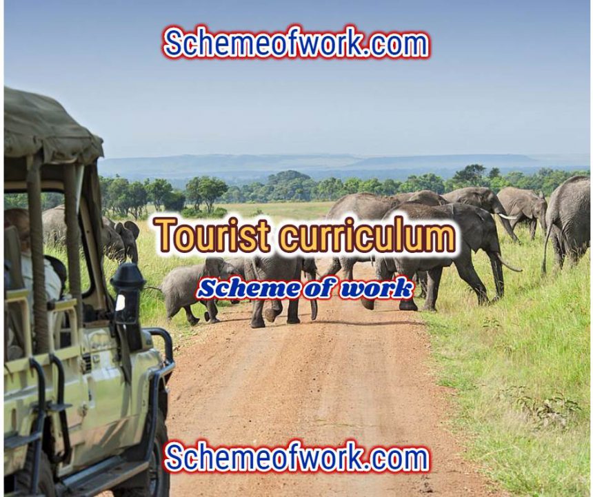 Tourism Curriculum
