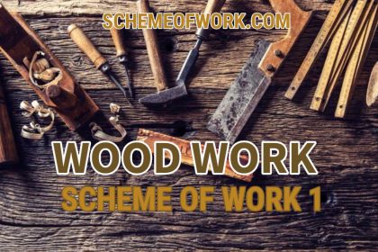Wood Work Scheme of work 1