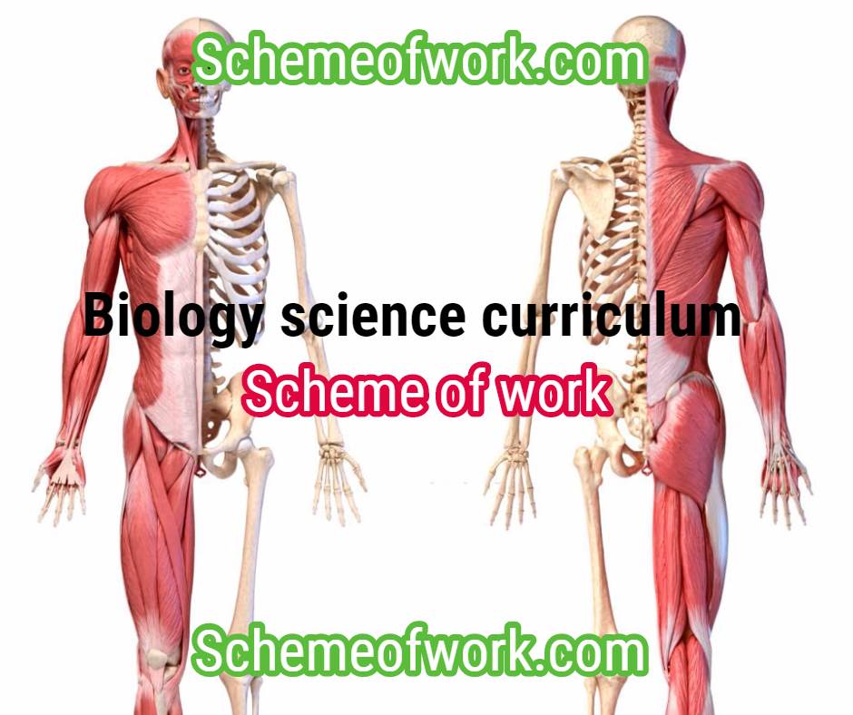 Biology Curriculum