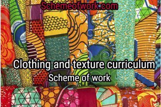 Clothing and Textile Curriculum