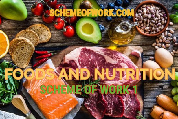 Foods & Nutrition Scheme of work 1