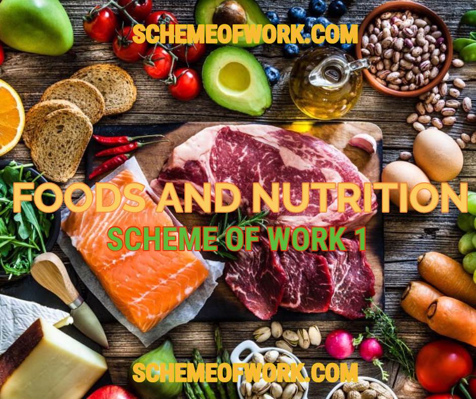 Foods & Nutrition Scheme of work 1